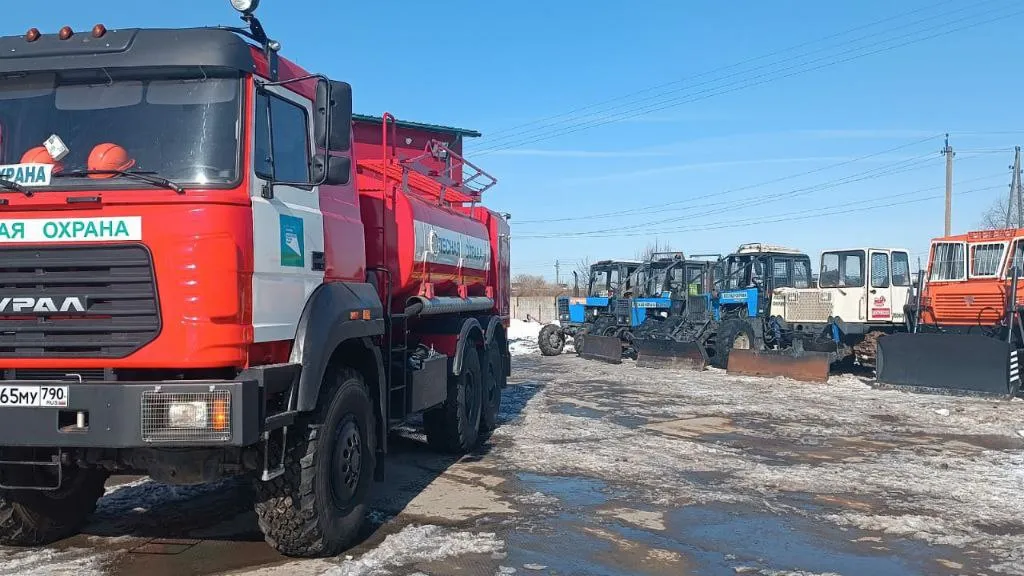 Фото: Комитет лесного хозяйства Московской области