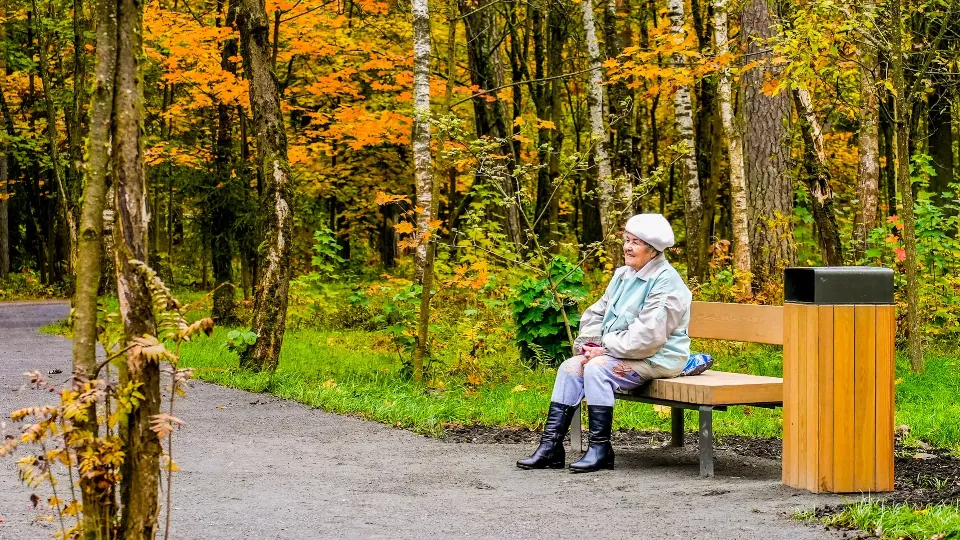 Фото: пресс-служба губернатора и правительства Московской области/Александра Степанова