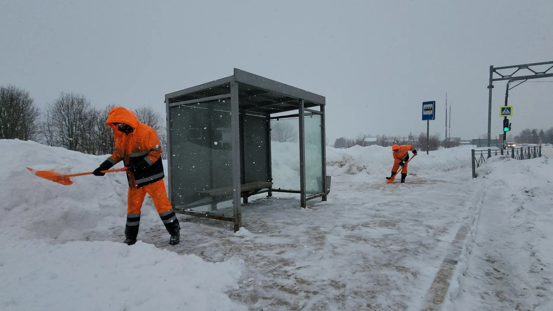 МедиаБанк Подмосковья/Екатерина Морозова