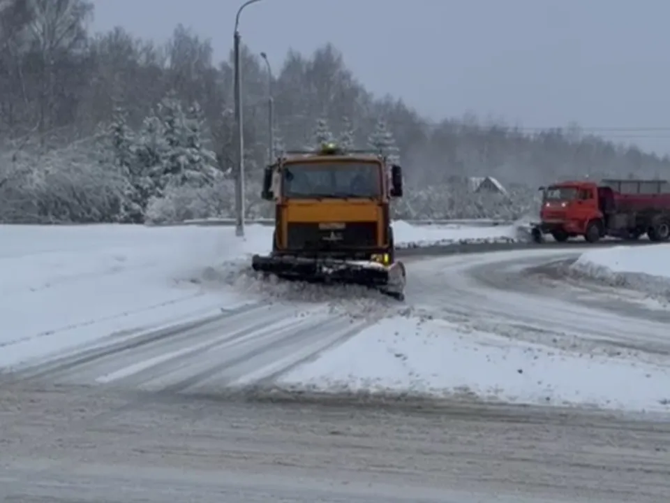 Фото: пресс-служба администрации г.о. Черноголовка