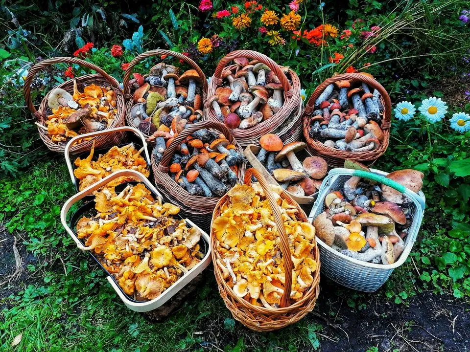 Фото: Василий Потапов