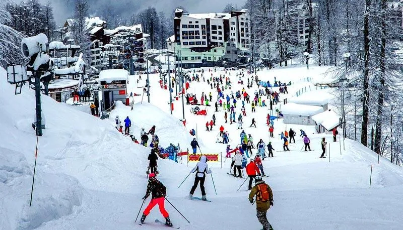 Фото соцсети.