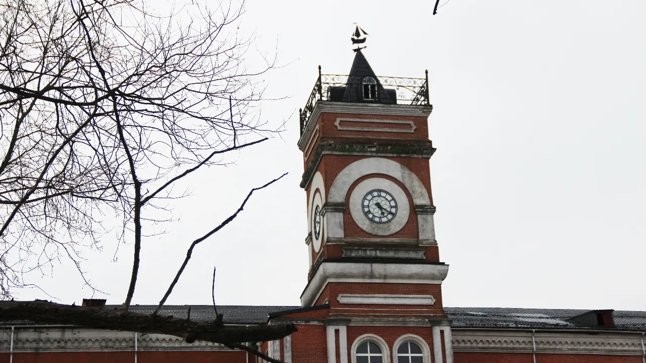 REGIONS/Василий Тремасов