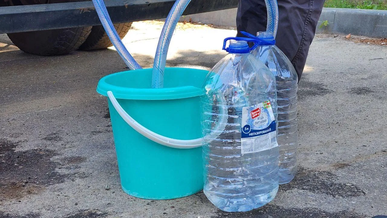 Фото: Светлана Плотникова