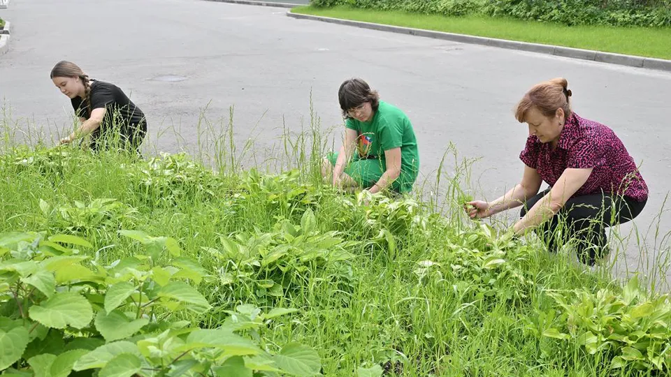 Фото: пресс-служба администрации г.о. Власиха