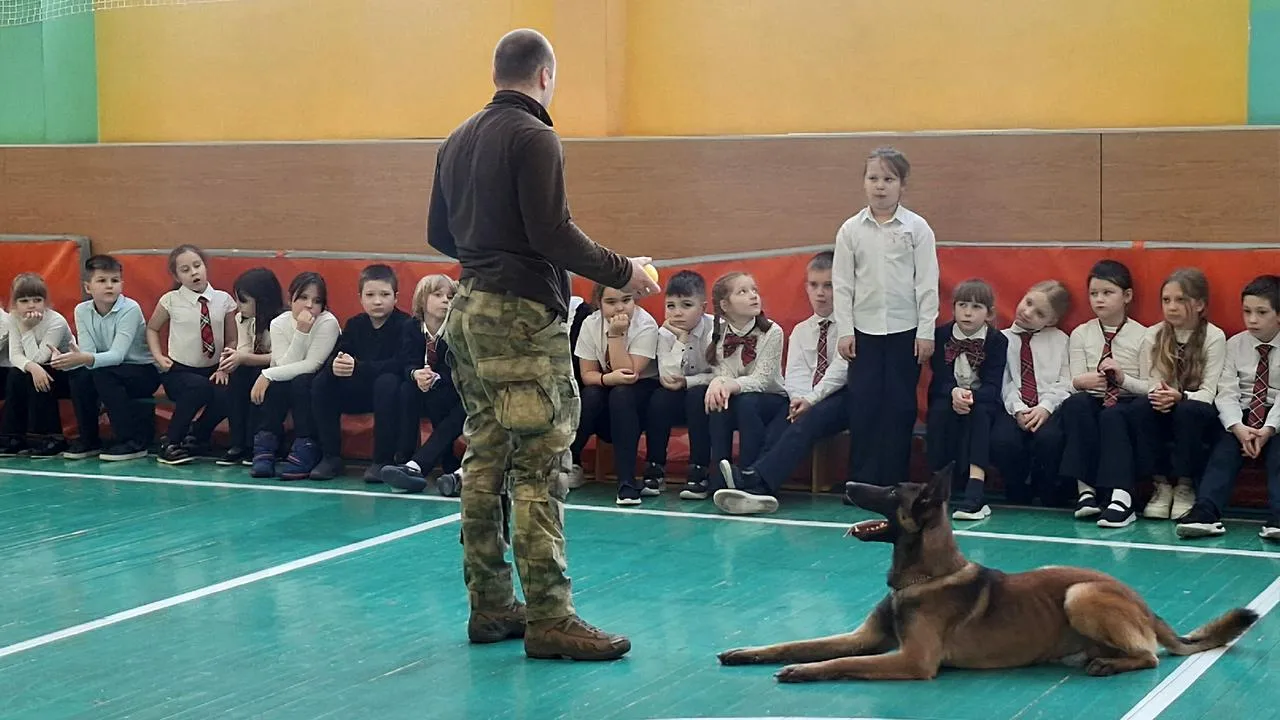 школа №9 города Ступино