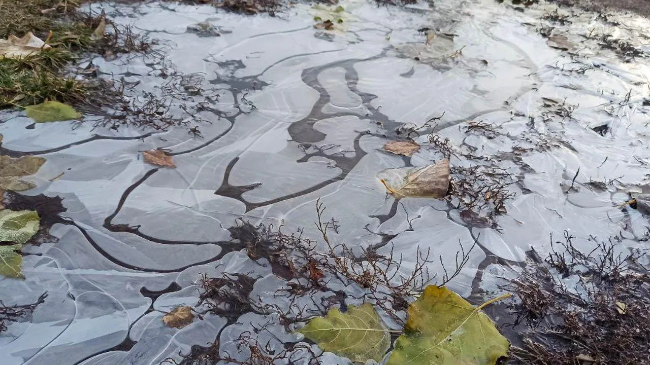 REGIONS/Эльвира Сафина