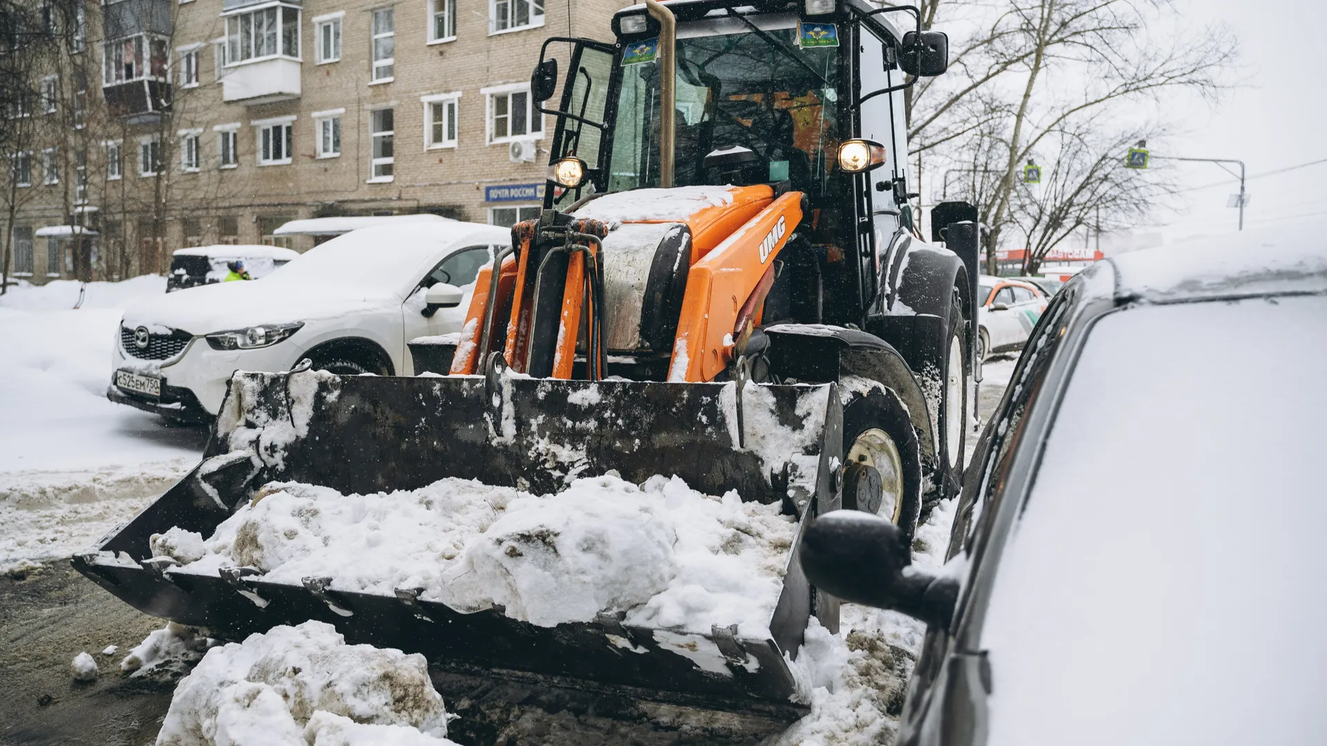 Фото: пресс-служба администрации г.о. Щелково