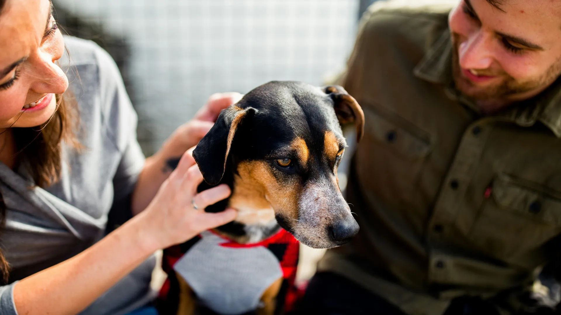 Фото: unsplash.com