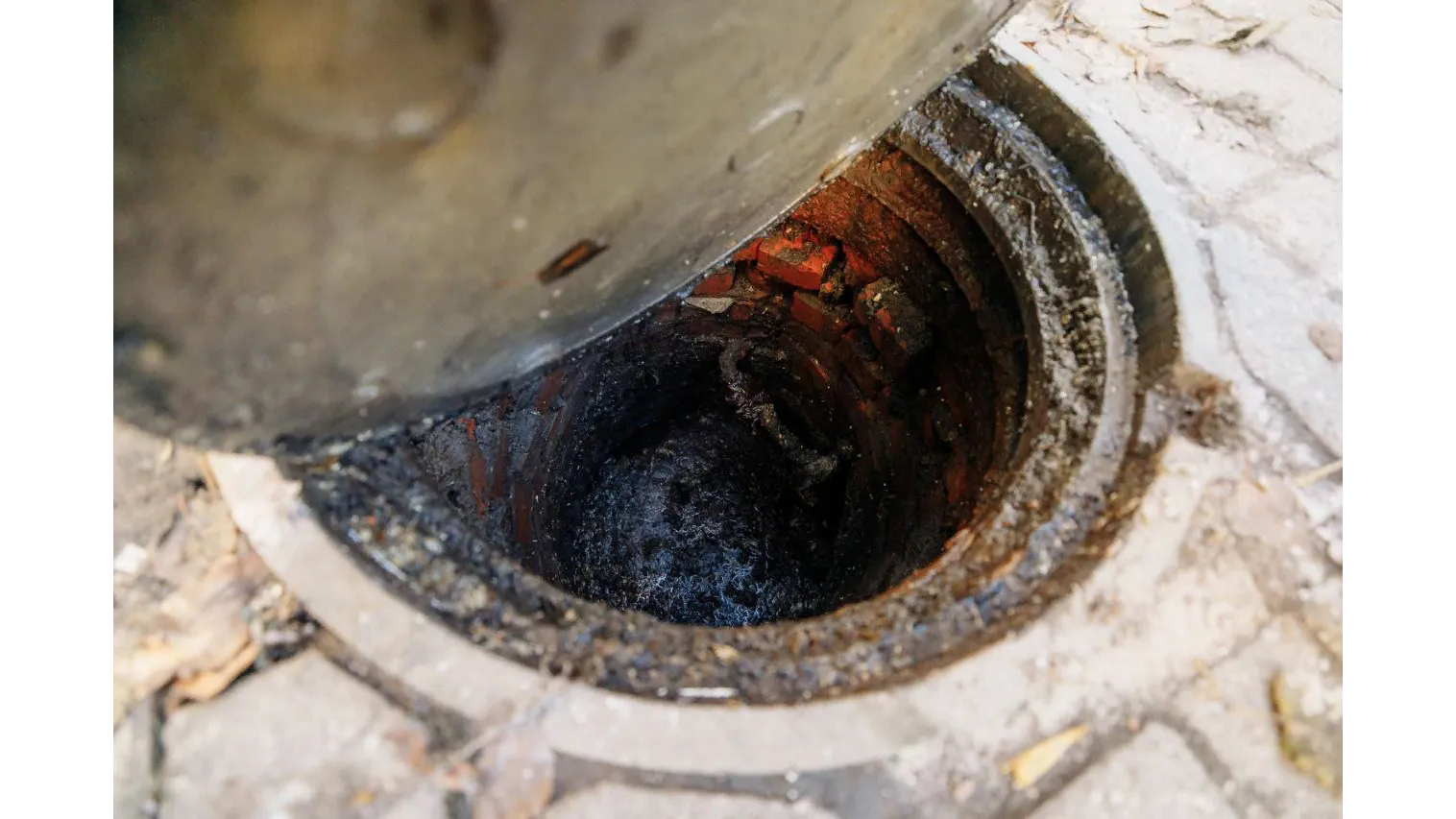 Фото: телевидение «Аист»