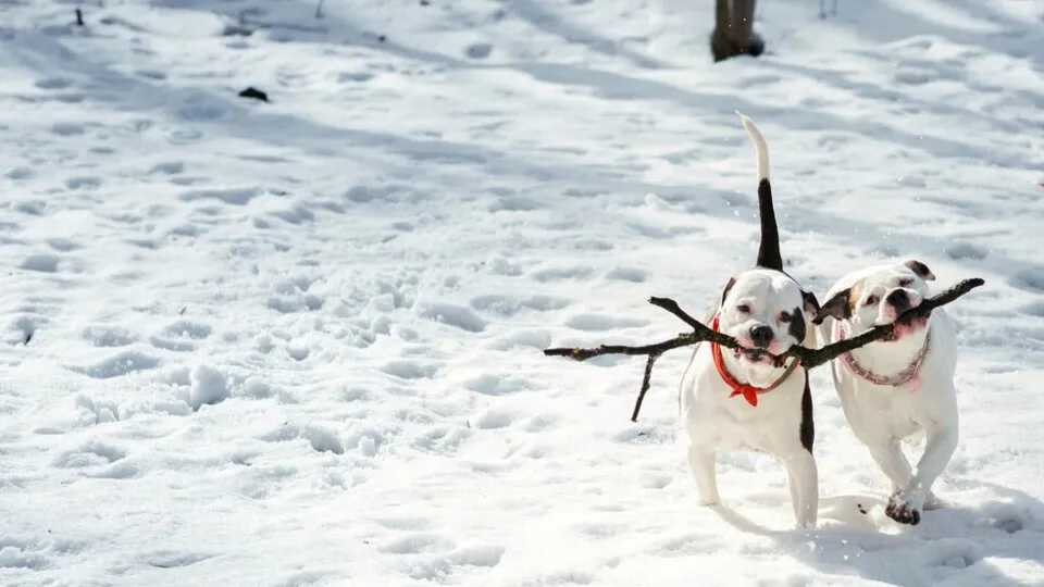 Фото: freepik.com