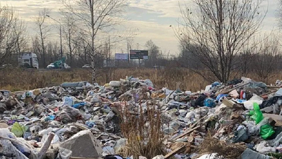 Фото: Министерство экологии и природопользования Московской области