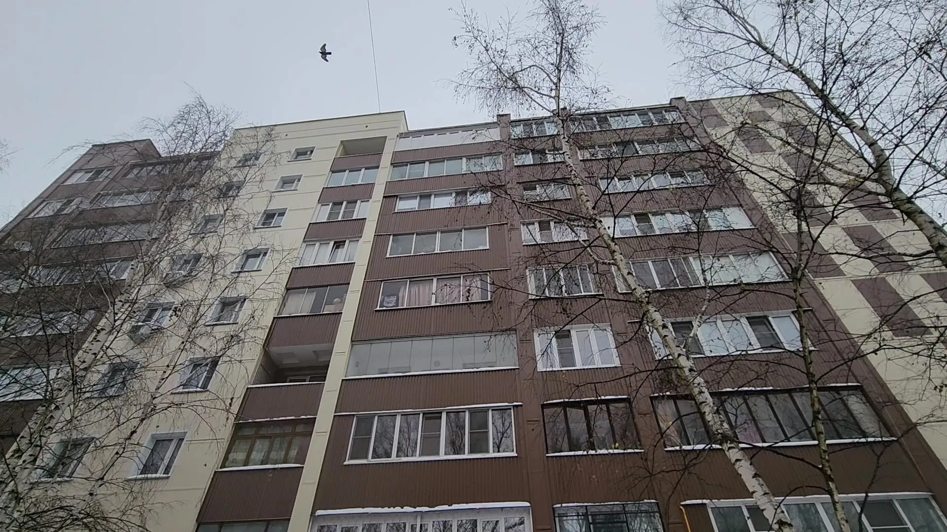 Сморкалов Никита