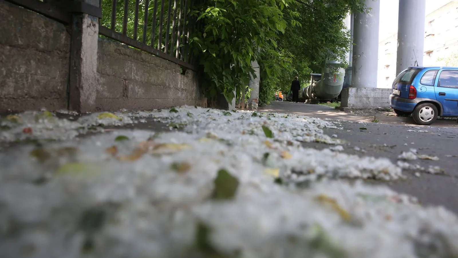 Фото: медиасток.рф