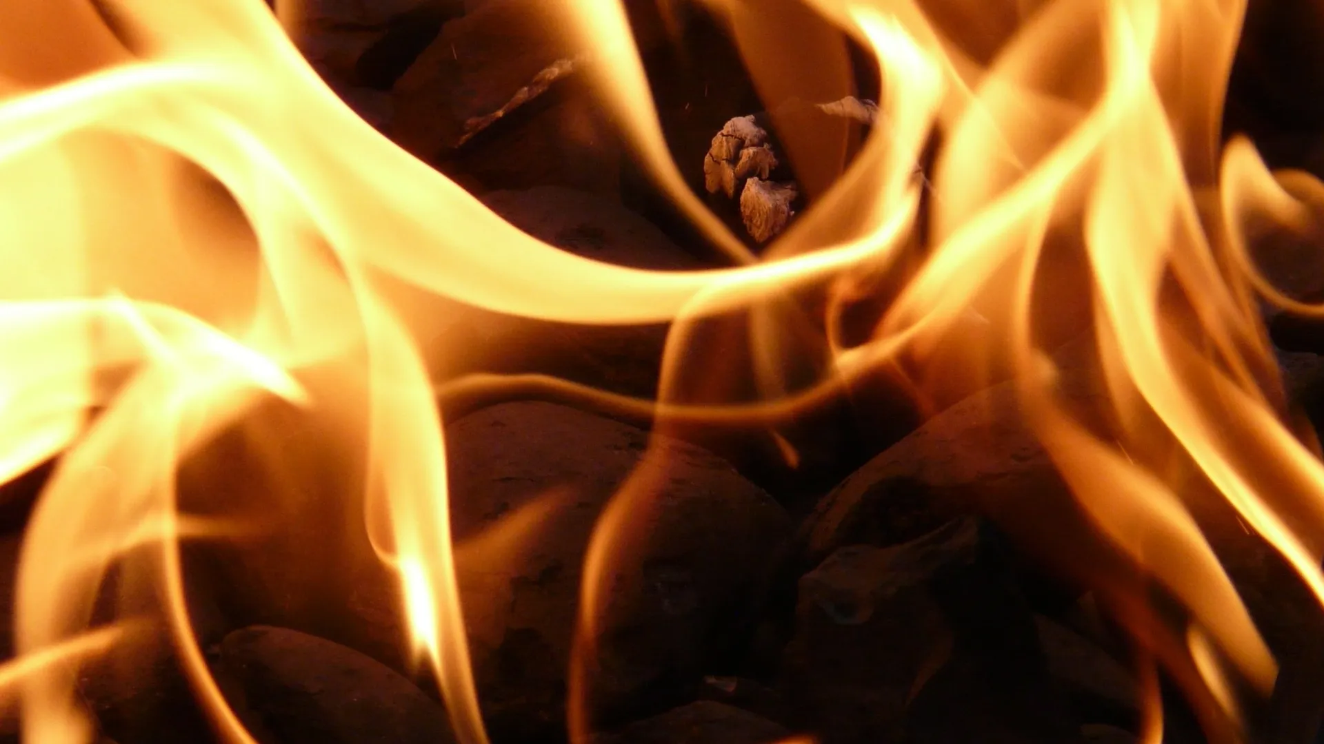 Фото: pxhere.com