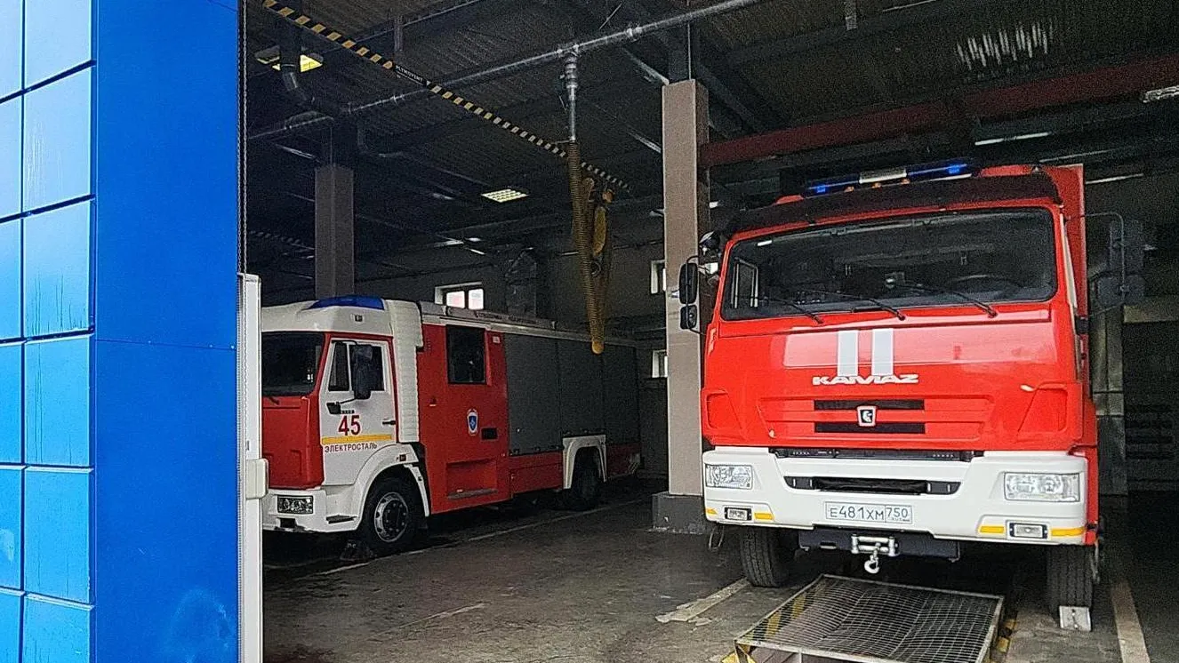 Фото: Нина Басистая