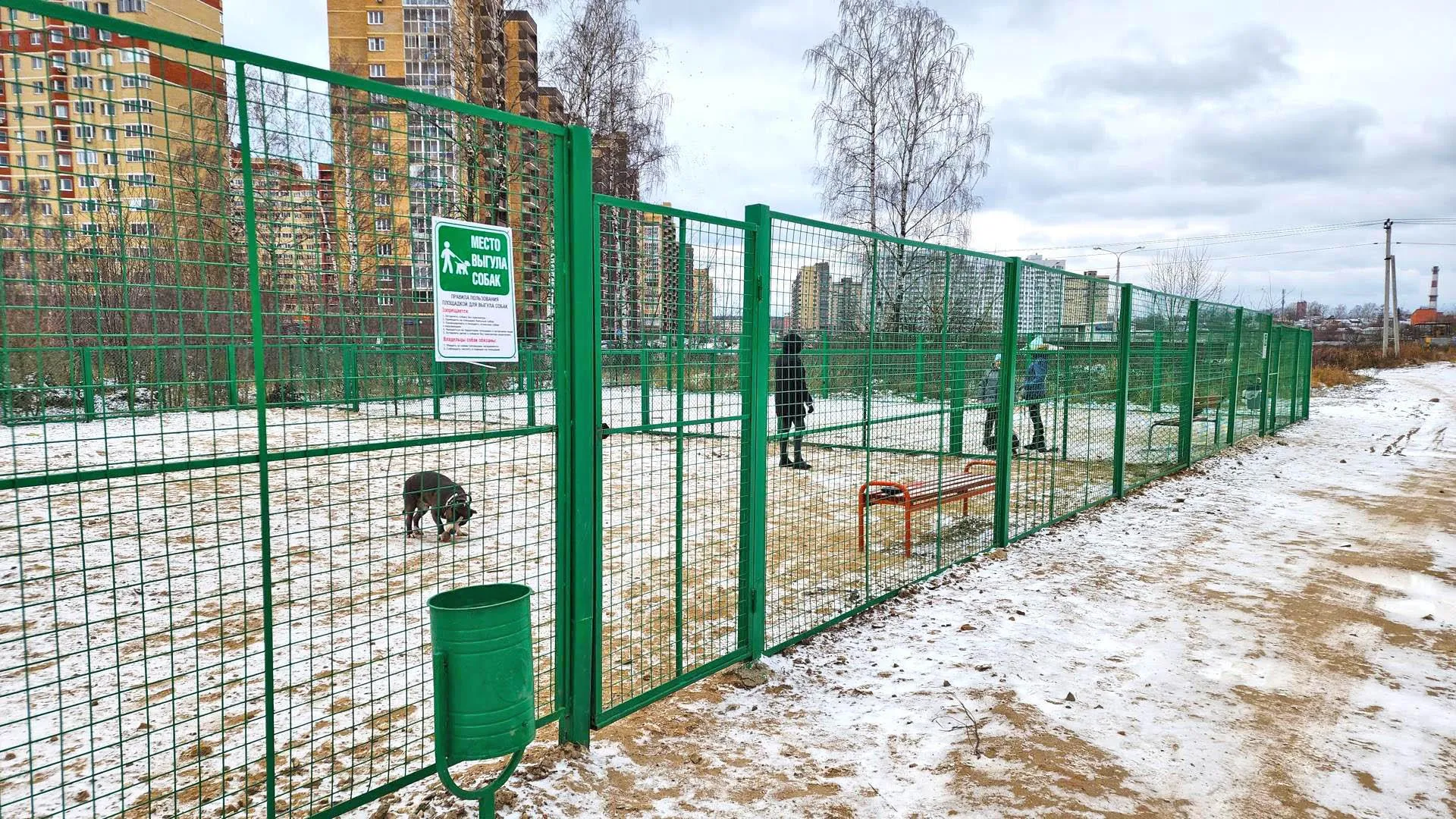 Фото: Валерия Тингаева