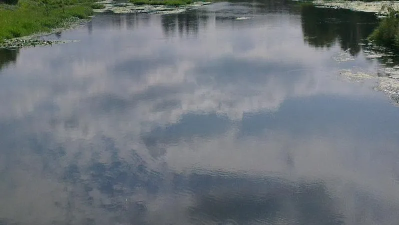 Фото: Минэкологии МО