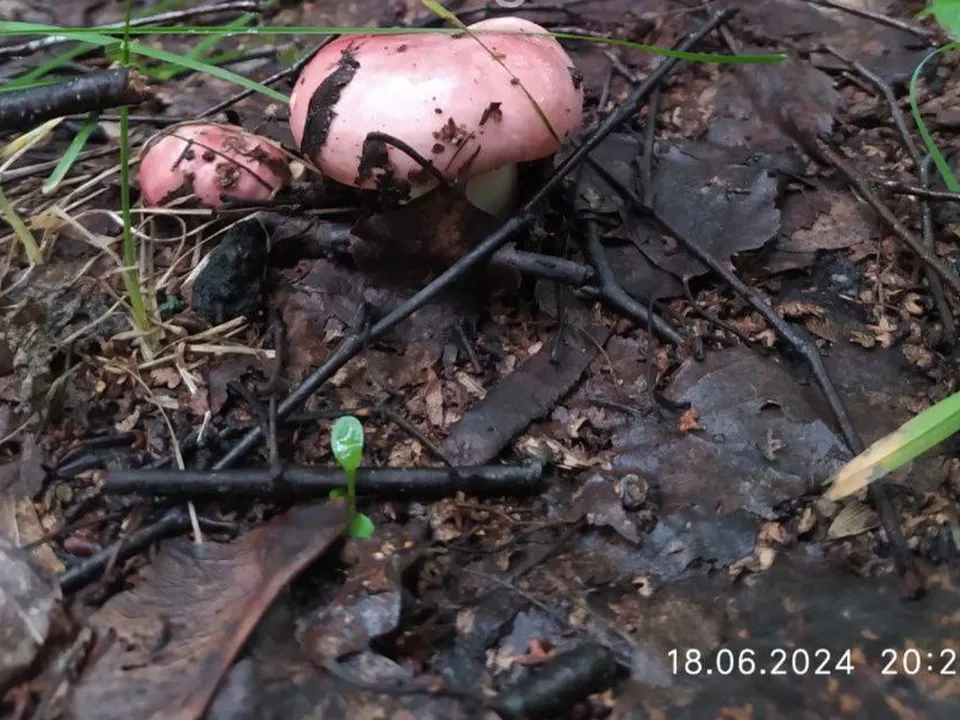 Фото: Наталия Надточая&nbsp;