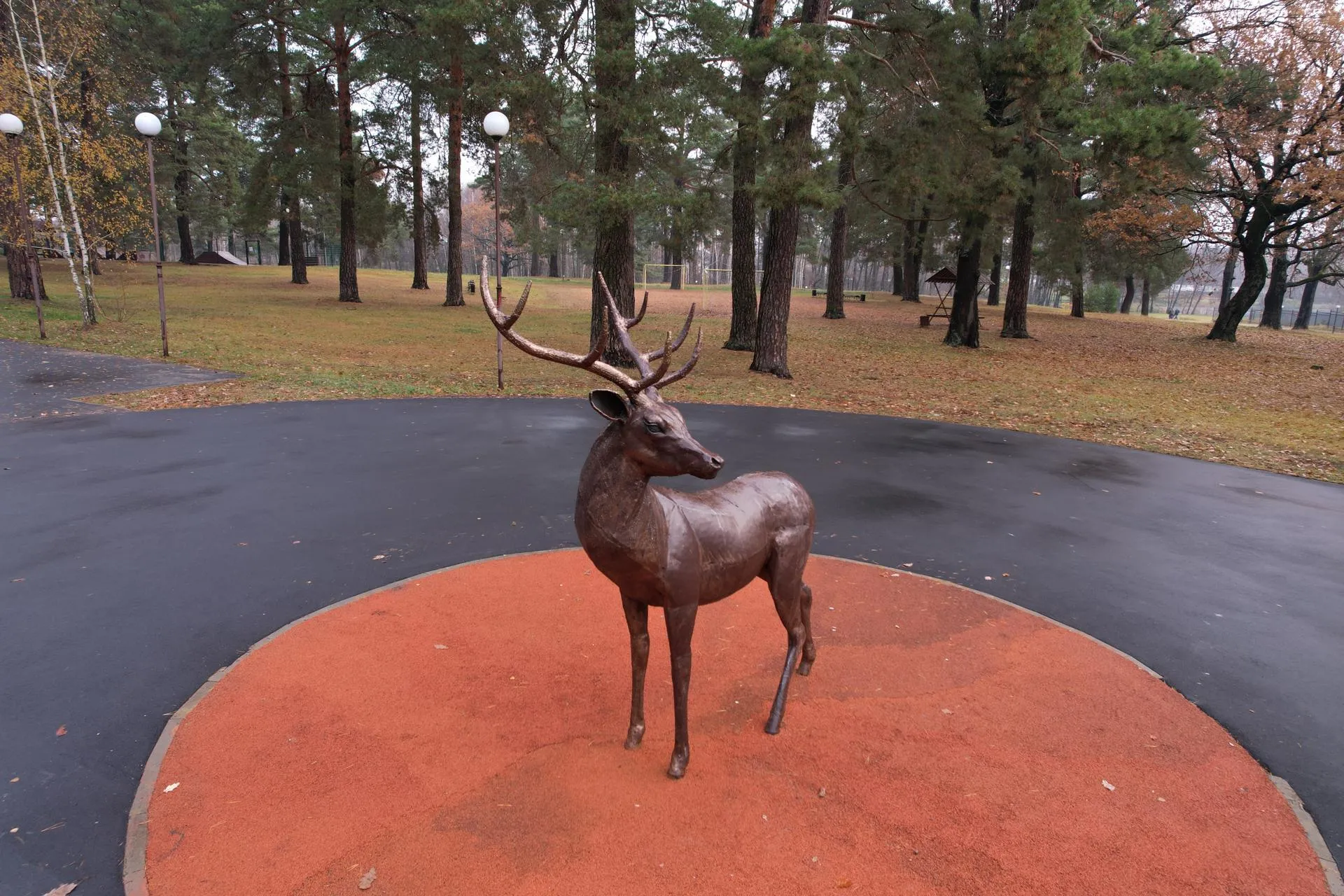 Фото: Ксения Борцова