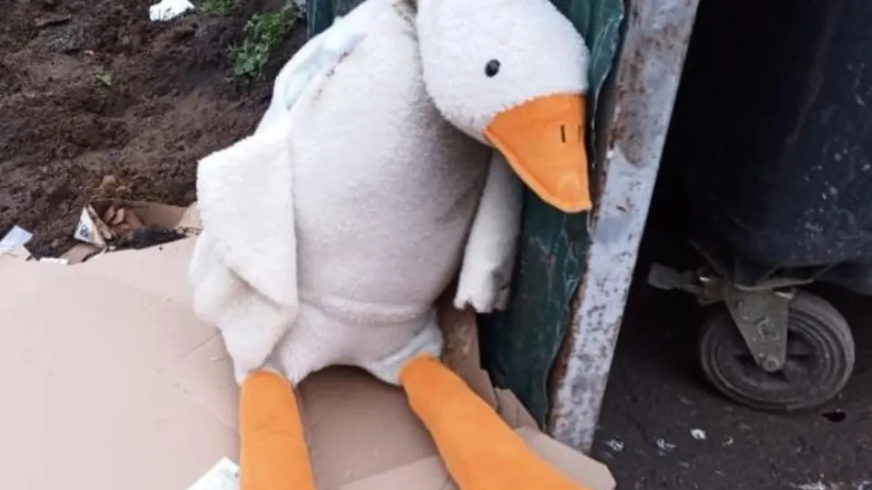 Фото: Министерство по содержанию территорий и государственному жилищному надзору