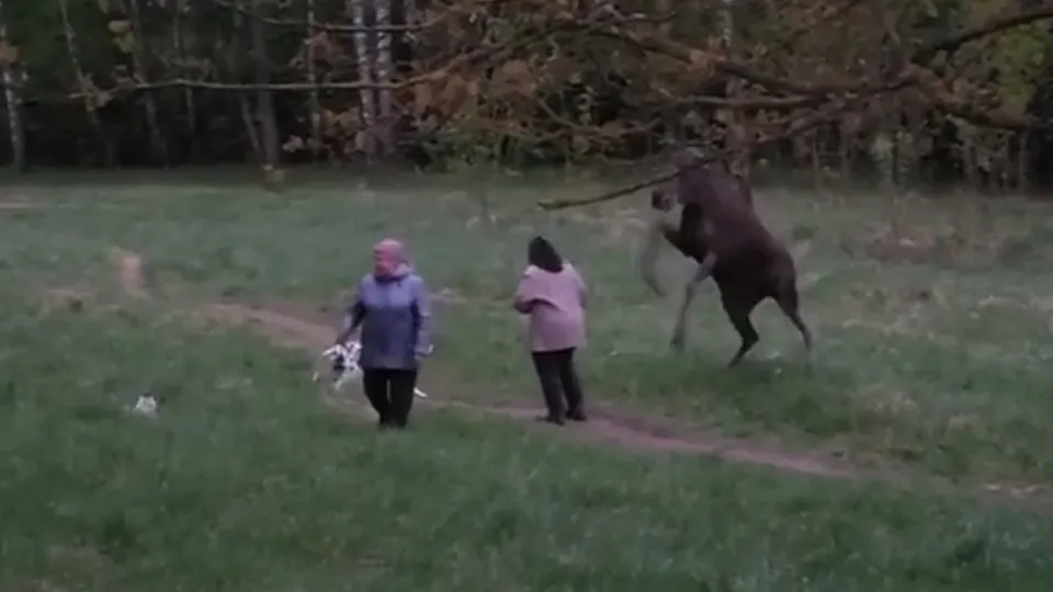 Фото: соцсети