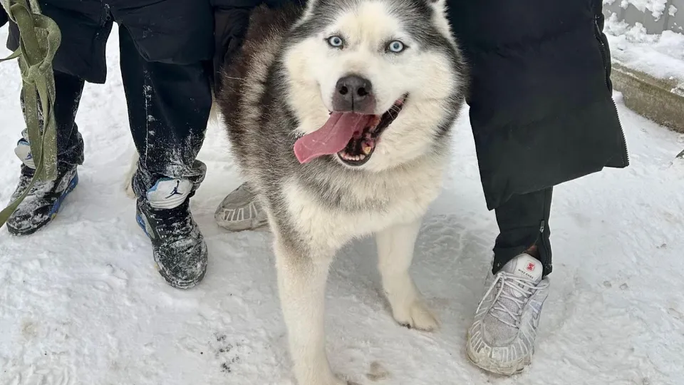 Фото: Олимп Фрязино 2013