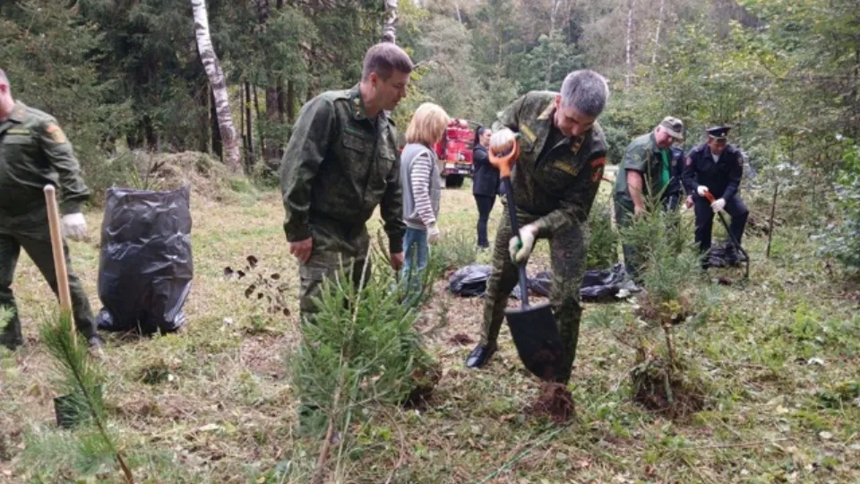 Фото: пресс-служба администрации м.о. Истра