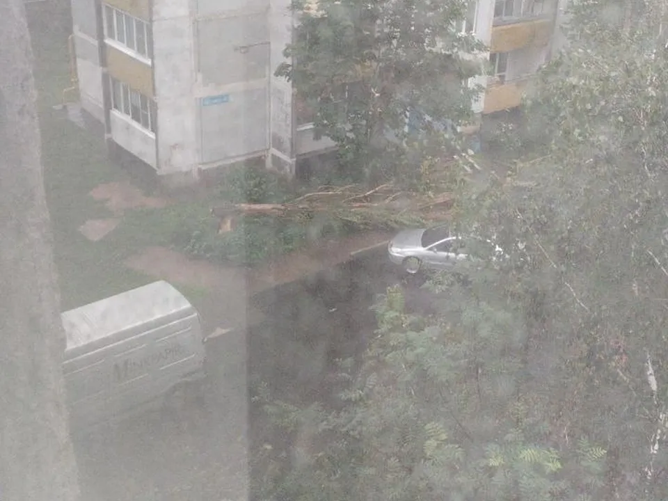 Фото:&nbsp;vk.com/Мисс Бантик