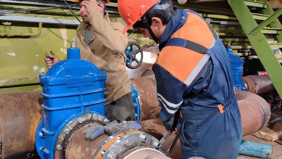 Фото: МедиаБанк Подмосковья/ Елена Катасонова