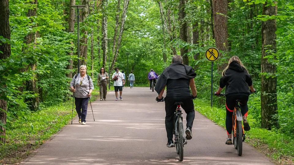Фото: медиасток.рф