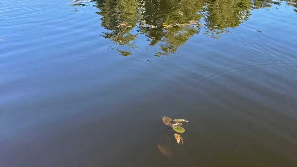 Фото: Александра Серова