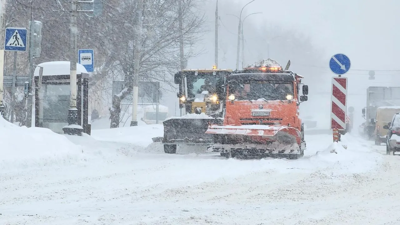 REGIONS/Мария Шигорева