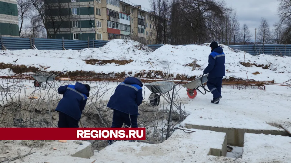 Фото: МедиаБанк Подмосковья/Дмитрий Беденко
