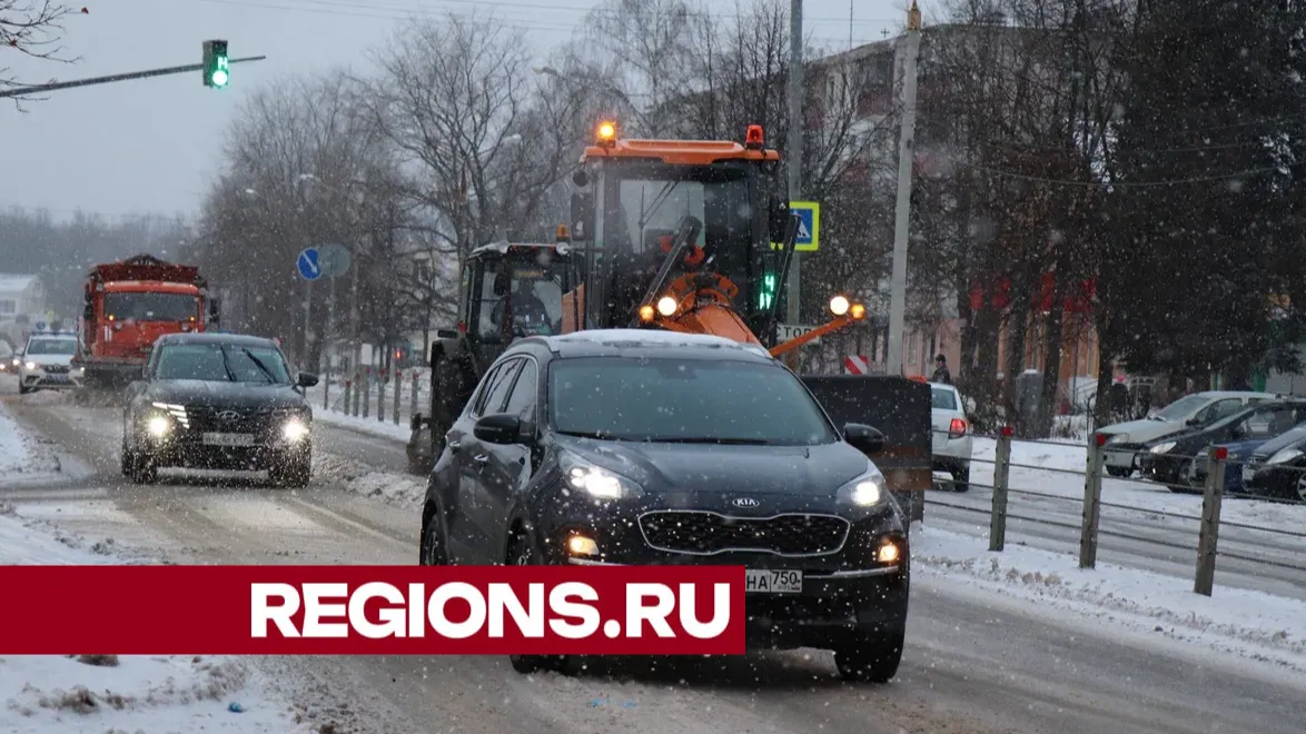 Фото: Василий Тремасов