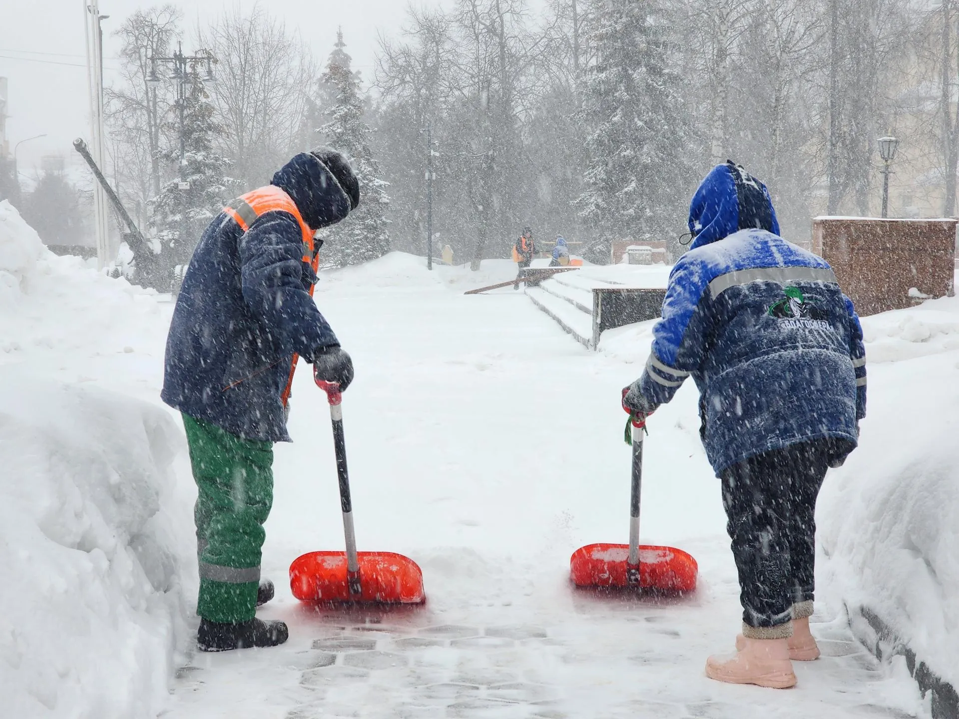 МедиаБанк Подмосковья/Ольга Аввакумова