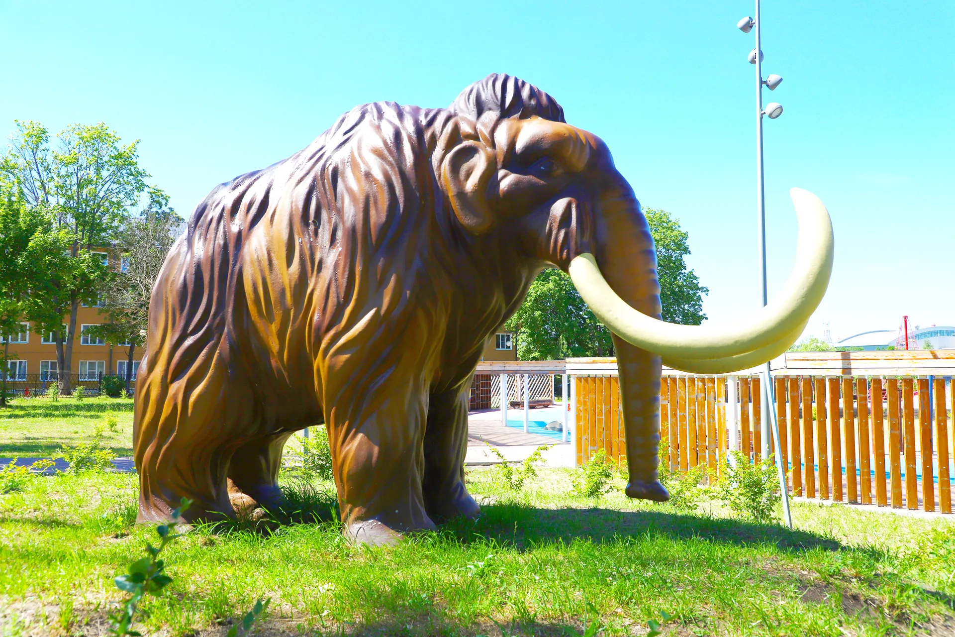 Фото: REGIONS/Оксана Лапшина