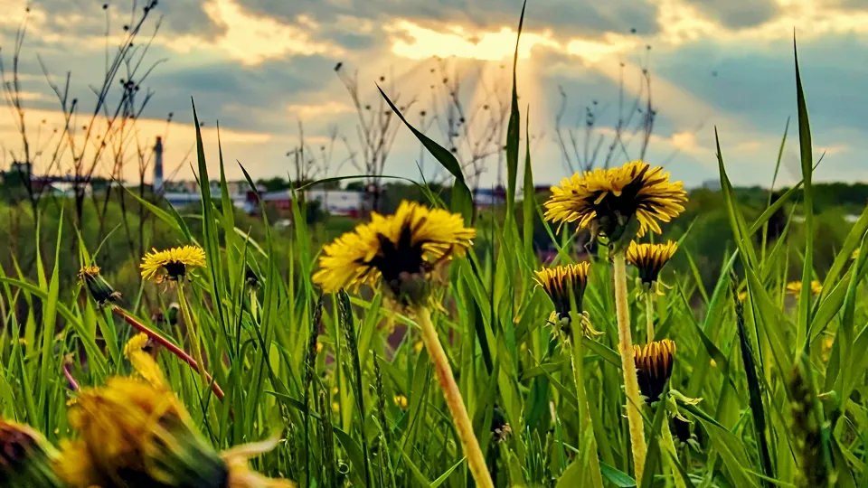 Фото: REGIONS/Алексей Селиверстов