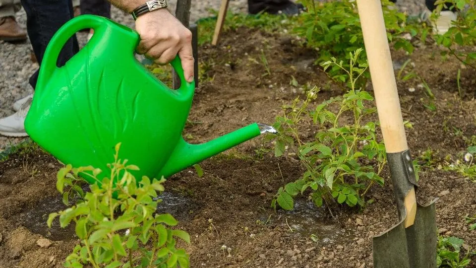 медиасток.рф