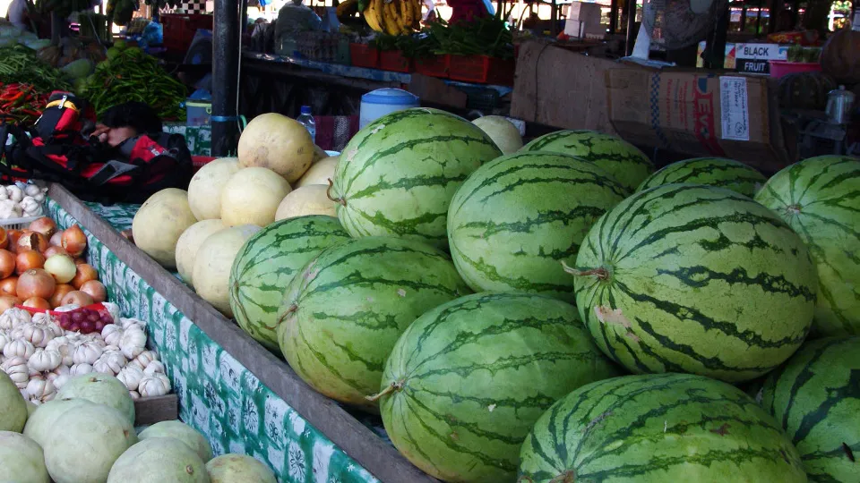 Фото: pxhere.com