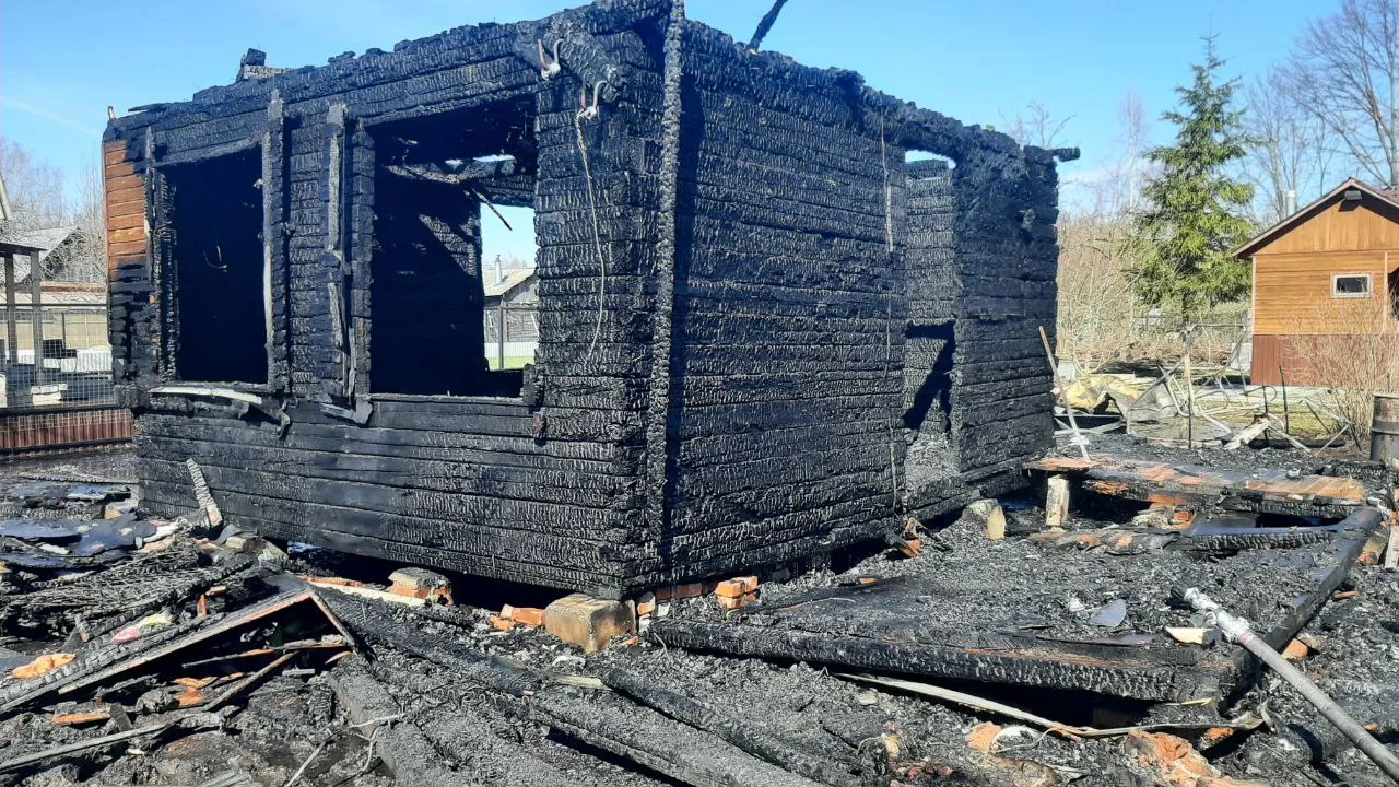 Фото: ГУ МЧС России по Московской области