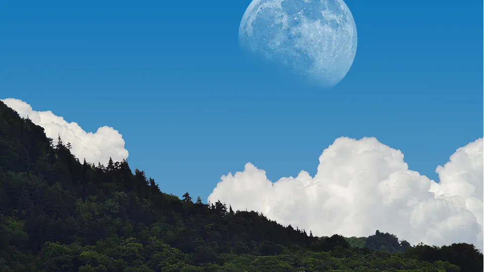 Фото: freepik.com