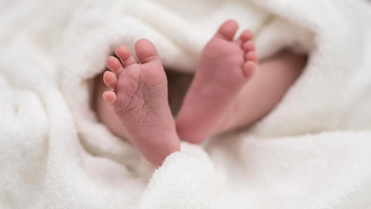 istockphoto.com/K_Thalhofer