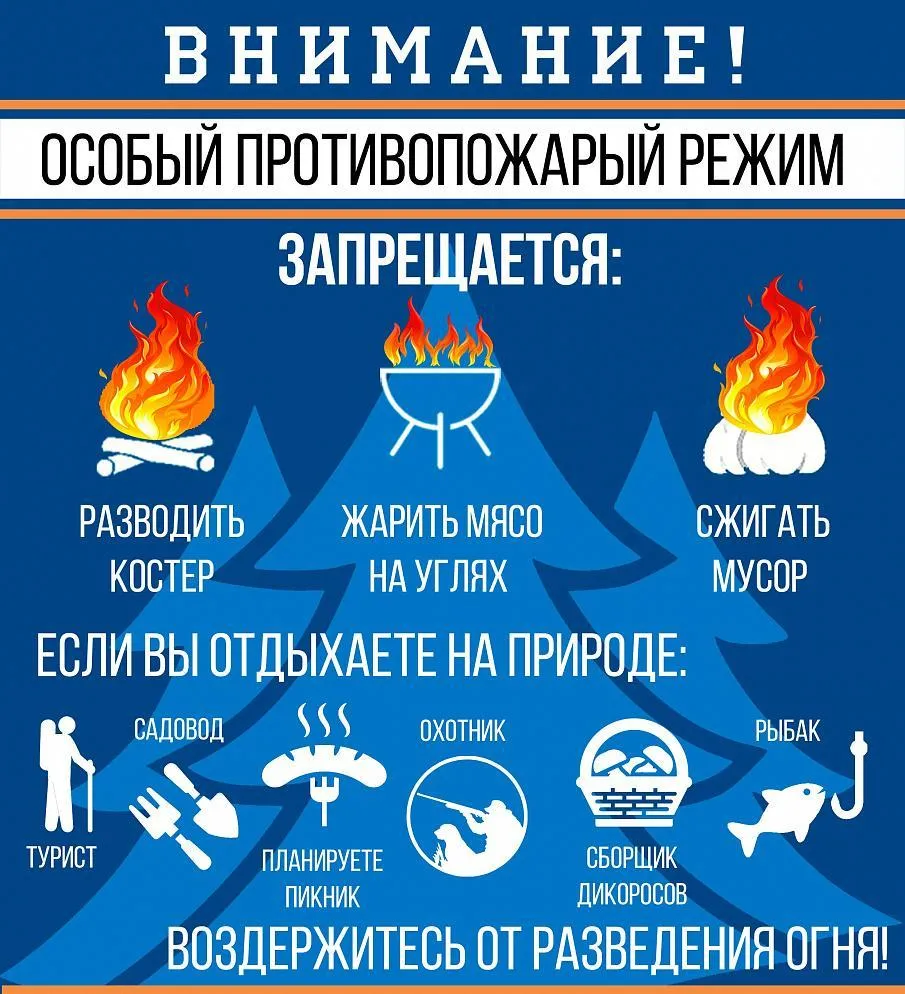 Фото: пресс-служба Администрации г.о. Зарайск