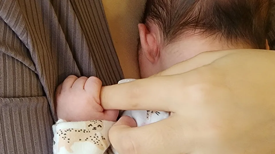 Фото: МедиаБанк Подмосковья/Валентина Максимова