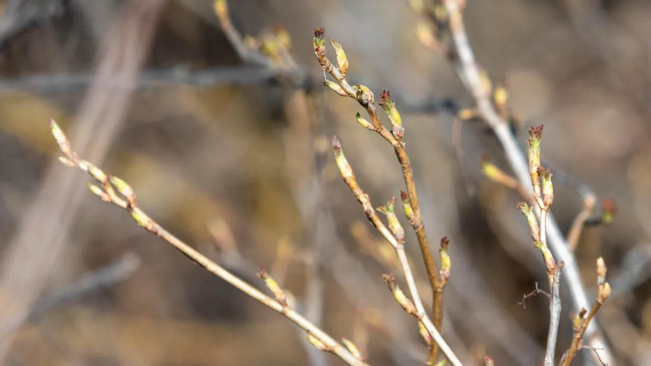 REGIONS/Роман Малышенко