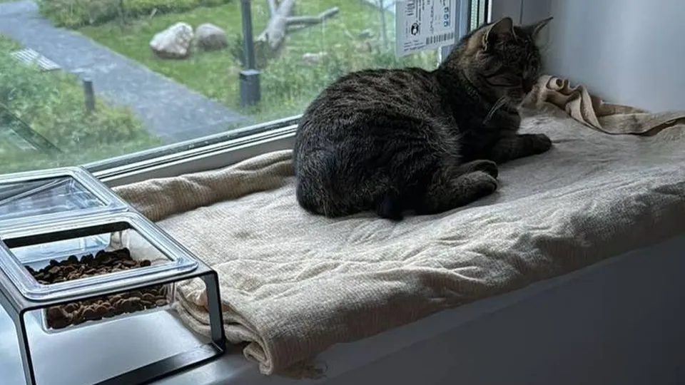 Фото: t.me/drozhzhinobutovopark2