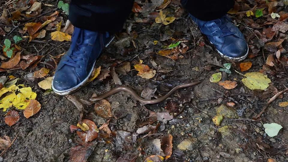 Фото: istockphoto.com/undefined undefined