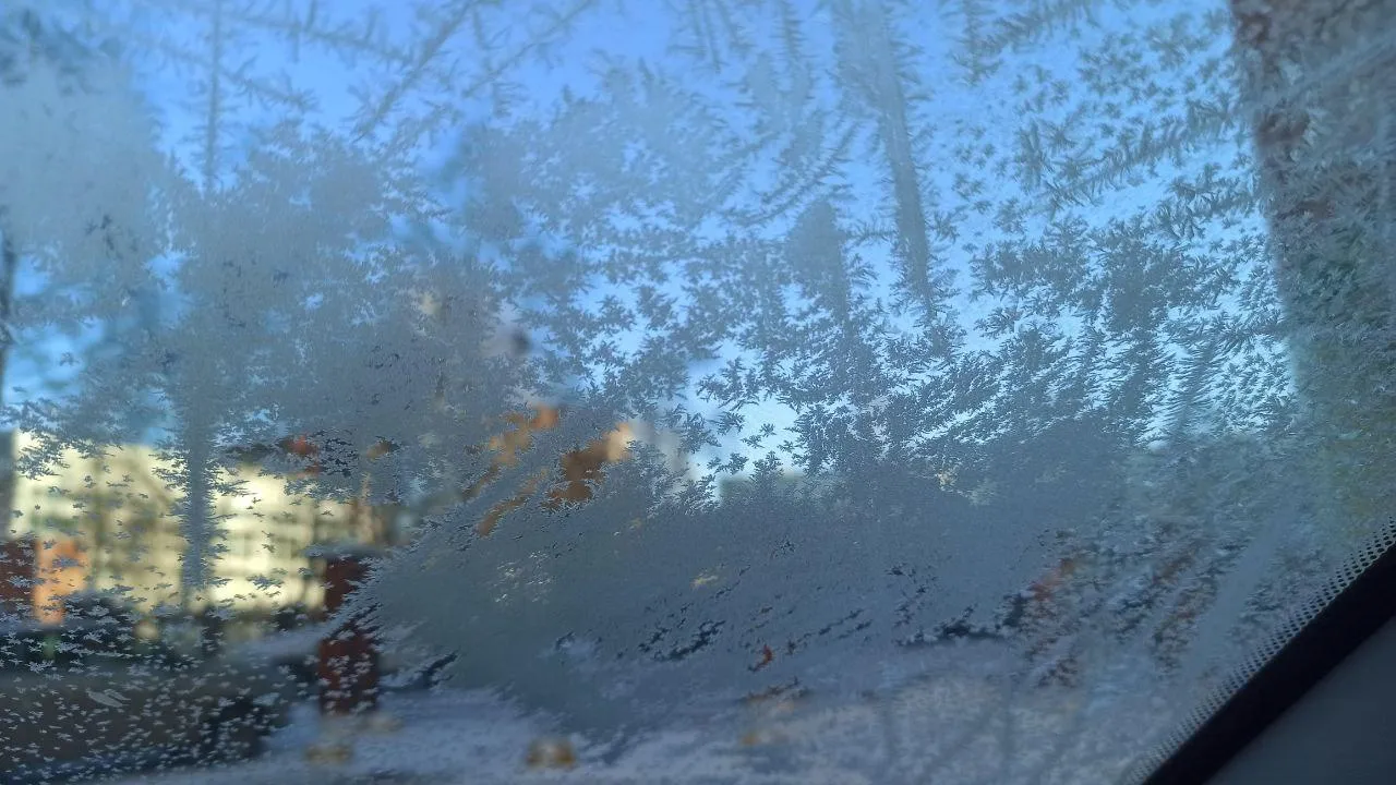 REGIONS/Эльвира Сафина