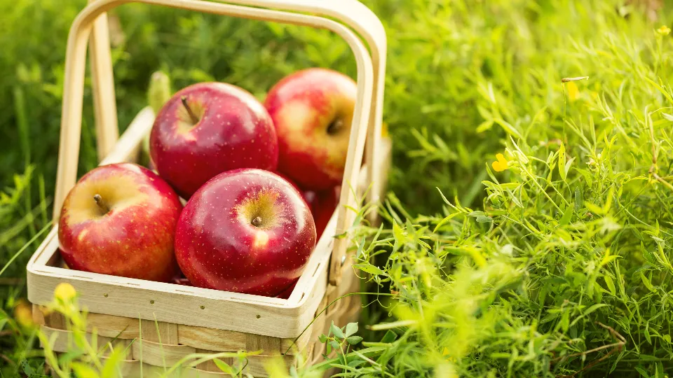 Фото: freepik.com